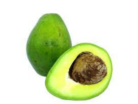 AGUACATE PAPELILLO