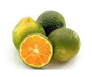 LIMON MANDARINO